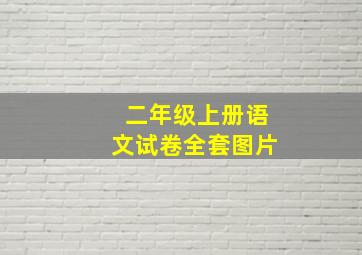 二年级上册语文试卷全套图片