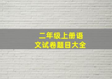 二年级上册语文试卷题目大全