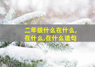 二年级什么在什么,在什么,在什么造句