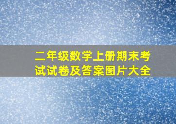 二年级数学上册期末考试试卷及答案图片大全