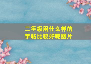 二年级用什么样的字帖比较好呢图片