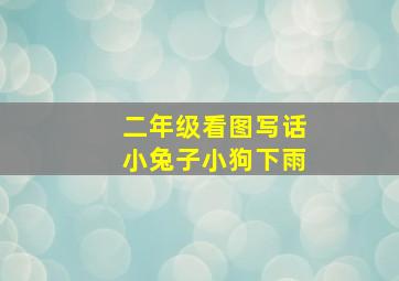 二年级看图写话小兔子小狗下雨