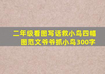 二年级看图写话救小鸟四幅图范文爷爷抓小鸟300字