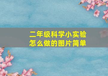 二年级科学小实验怎么做的图片简单