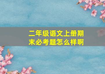 二年级语文上册期末必考题怎么样啊