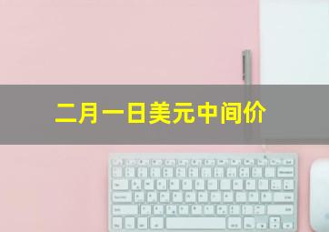 二月一日美元中间价