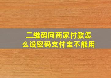 二维码向商家付款怎么设密码支付宝不能用