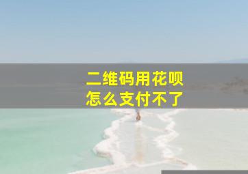 二维码用花呗怎么支付不了