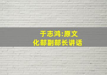 于志鸿:原文化部副部长讲话