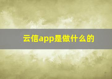 云信app是做什么的