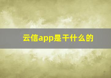 云信app是干什么的