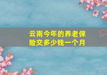 云南今年的养老保险交多少钱一个月