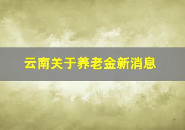 云南关于养老金新消息