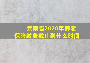 云南省2020年养老保险缴费截止到什么时间