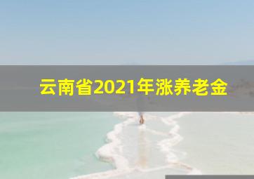 云南省2021年涨养老金