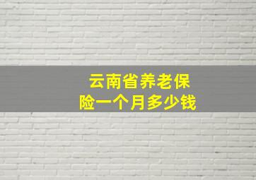 云南省养老保险一个月多少钱