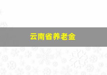 云南省养老金