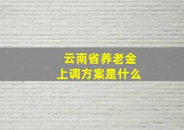 云南省养老金上调方案是什么