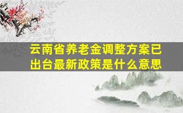 云南省养老金调整方案已出台最新政策是什么意思