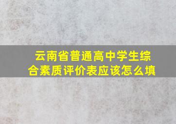 云南省普通高中学生综合素质评价表应该怎么填