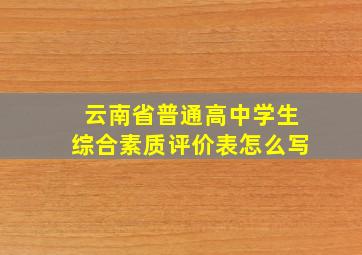 云南省普通高中学生综合素质评价表怎么写