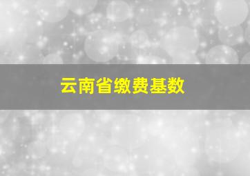 云南省缴费基数