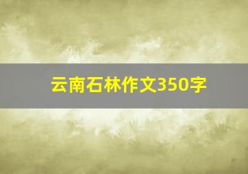 云南石林作文350字