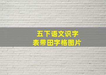 五下语文识字表带田字格图片