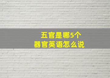 五官是哪5个器官英语怎么说