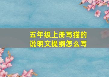 五年级上册写猫的说明文提纲怎么写