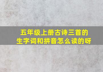 五年级上册古诗三首的生字词和拼音怎么读的呀