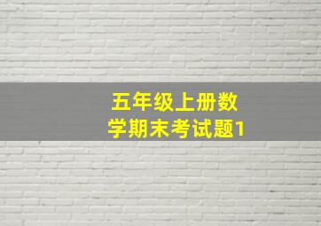 五年级上册数学期末考试题1