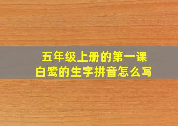 五年级上册的第一课白鹭的生字拼音怎么写