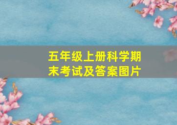 五年级上册科学期末考试及答案图片