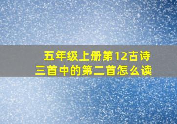 五年级上册第12古诗三首中的第二首怎么读