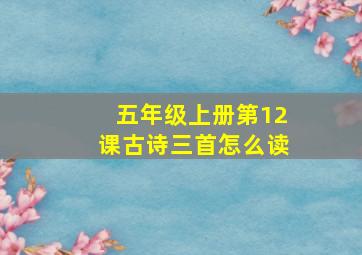 五年级上册第12课古诗三首怎么读