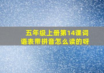 五年级上册第14课词语表带拼音怎么读的呀