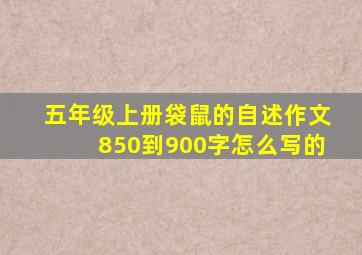 五年级上册袋鼠的自述作文850到900字怎么写的