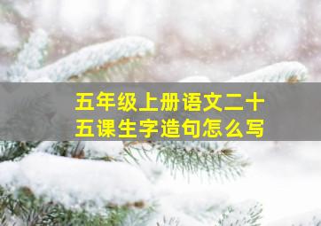 五年级上册语文二十五课生字造句怎么写