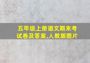 五年级上册语文期末考试卷及答案,人教版图片