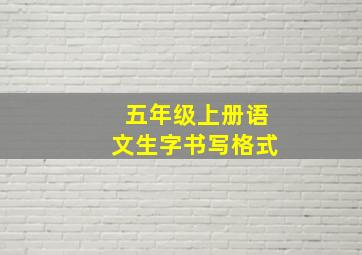 五年级上册语文生字书写格式