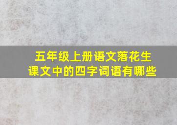 五年级上册语文落花生课文中的四字词语有哪些