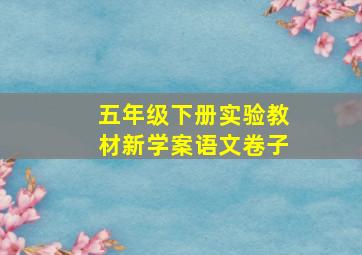 五年级下册实验教材新学案语文卷子