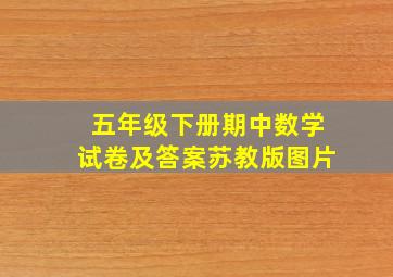 五年级下册期中数学试卷及答案苏教版图片