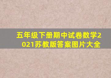 五年级下册期中试卷数学2021苏教版答案图片大全