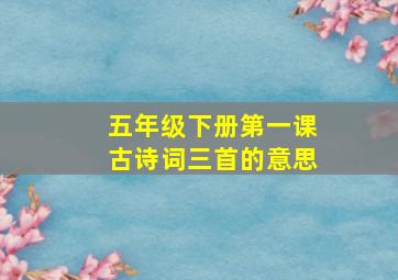 五年级下册第一课古诗词三首的意思