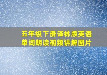 五年级下册译林版英语单词朗读视频讲解图片