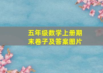 五年级数学上册期末卷子及答案图片