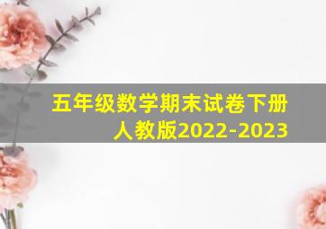 五年级数学期末试卷下册人教版2022-2023