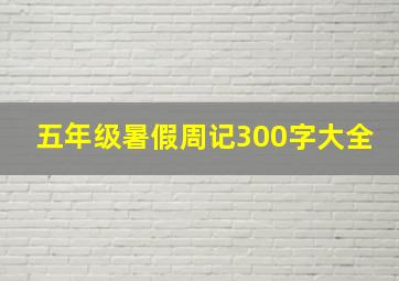 五年级暑假周记300字大全